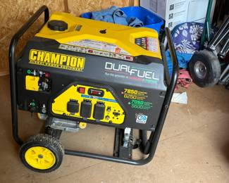 CHAMPION POWER EQUIPMENT DUAL FUEL GENERATOR
