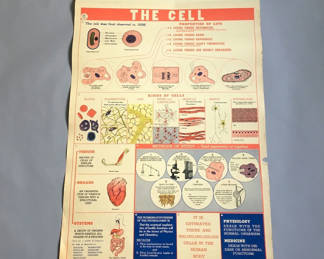Lot 11: 5 Charts from a 1946 School Health Wall Flip Chart