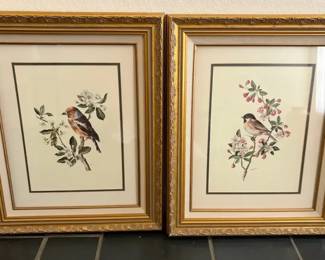 Birds of a Feather Art in Gold Frames