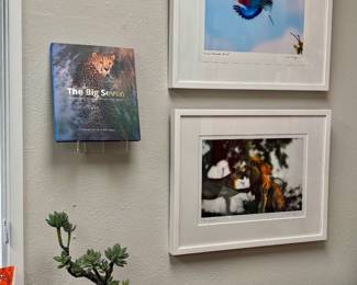 Framed Will Taylor photographs