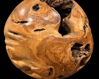 Petrified Teak Root Ball - HUGE! 26"x30"