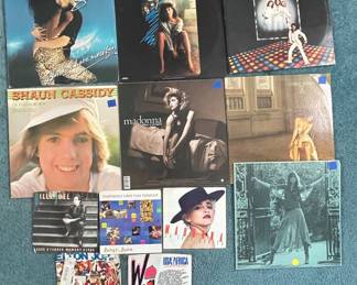 Vintage Vinyl Record Collection