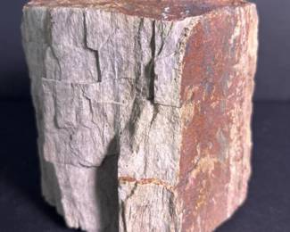 216 petrifiedwoodfossilchunkwithnatural