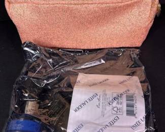 107 estelaudercosmeticbagwithskincare