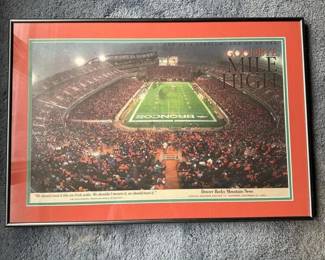 036 goodbyemilehighframeddenverbroncos
