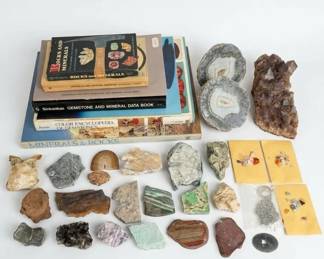 Rocks, Minerals, Stones,  Books Lot