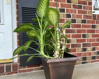 Live Dieffenbachia Indoor Plant in Decorative Pot 1  36 Total Height