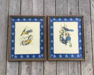 Bird Artwork