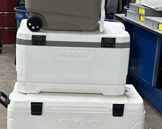 Lot 108: Igloo Coolers and Rolling Cooler