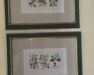 Lot 111: Pair of Framed Botanical Prints