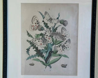 Lot 11: Set of Framed Butterfly Botanical Prints