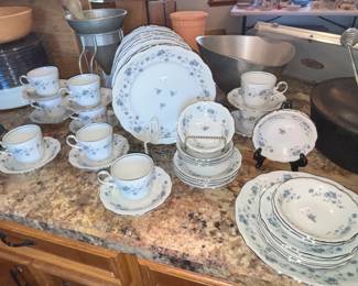 HAVILAND "TRADITIONS" CHINA SET