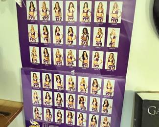 VIKING CHEERLEADERS