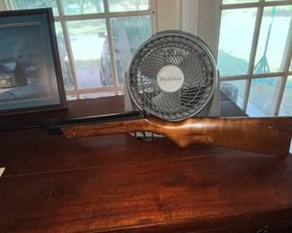 ANOTHER AIR RIFLE