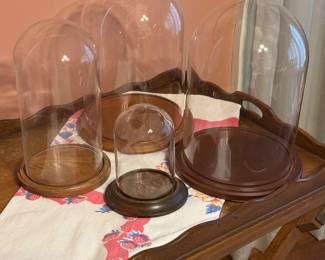 Assortment of Glass Cloche Domes
