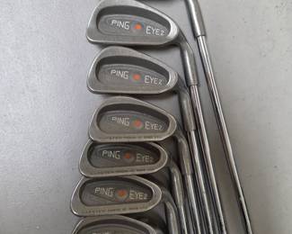 PING Eye2 *Available for Pre-Sale 