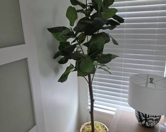 Tall fiddle leaf fig tree in woven planter with blue and white lamp