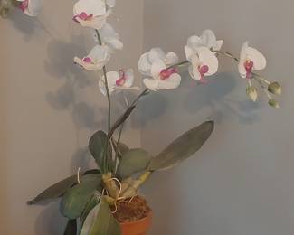 Artificial Phalaenopsis Orchid Arrangement in Terracotta Pot