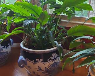 Blue and White Ceramic Elephant-Handle Planter