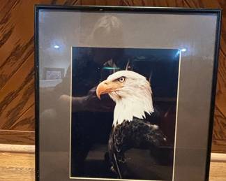Bald Eagle Photographic Print by Thomas Mangelsen