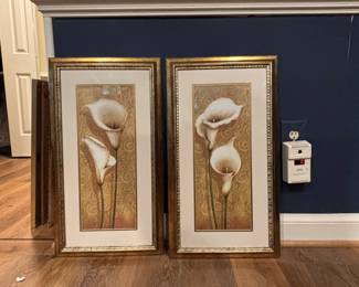 Calla Lily Decorative Framed Prints, Pair