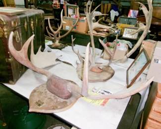 ANTLERS