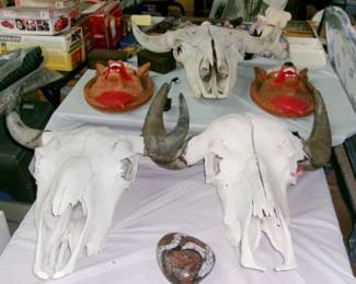 SKULLS