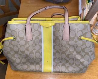 Coach purse