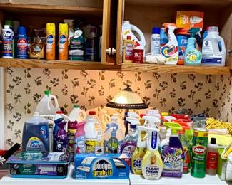 Assorted Household Cleaning Supplies Lot