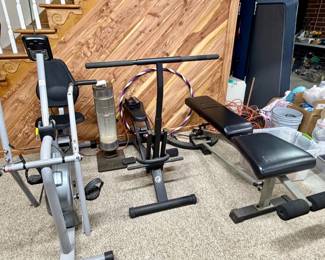 Golds Gym Ab Coaster