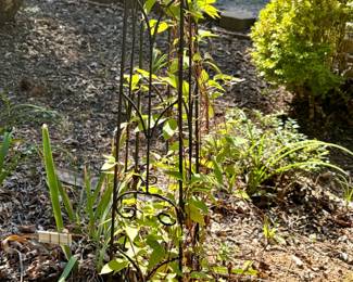 H Potter Wrought Iron Obelisk Garden Trellis