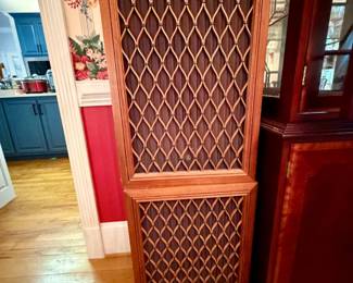Pioneer CSA Speakers