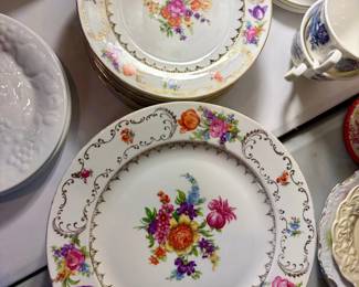 Schumann Bavaria Dresdner Art Pattern Dinnerware Set