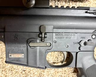 Smith Wesson MP Rifle