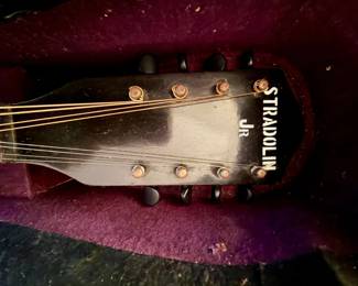 Stradolin Jr. Mandolin