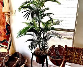Silk palm