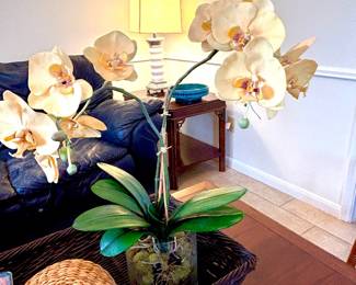 Custom orchids