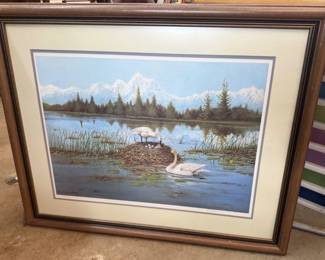 Owen Gromme Trumpeter Swan signed print 