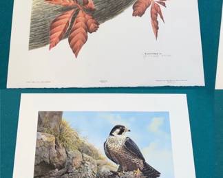 Signed & numbered prints 