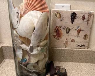 Seashells And Rocks
