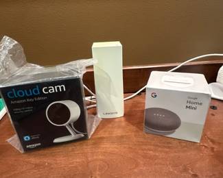 Cloud Cam & Google Mini