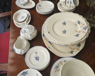 bluebird dishes