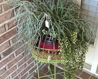 Green stand on front porch with plant.
