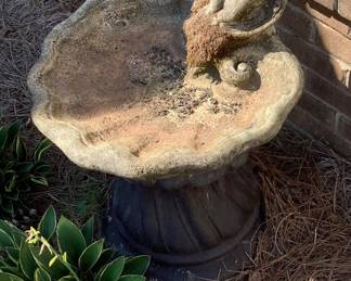 Bird bath with a little boy