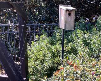 Wire trellis and bird house on pole