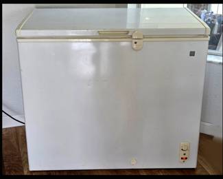 Really Cool GE Chest Freezer