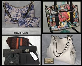 DC Comics Handbag,  Brahmin Bag,  Wallet & Dust Jacket & Coach Handbags & Wallets 