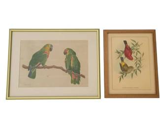 Handcolored Birds Flock Together