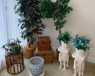 Bring the Outdoors Inside