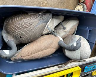 Duck decoys 